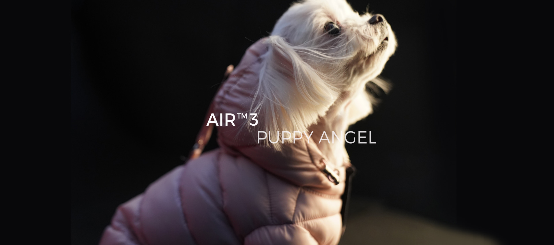 Puppy Angel Waterproof Covearlls & Dog Raincoat